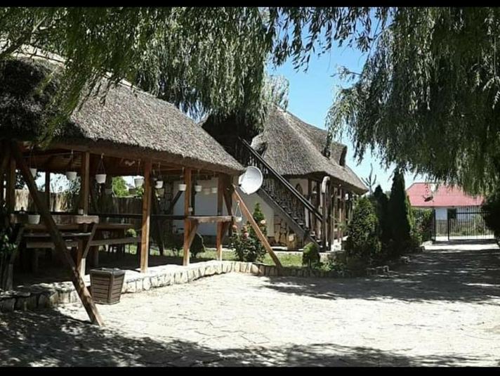 Casa Cu Flori Murighiol Exterior foto